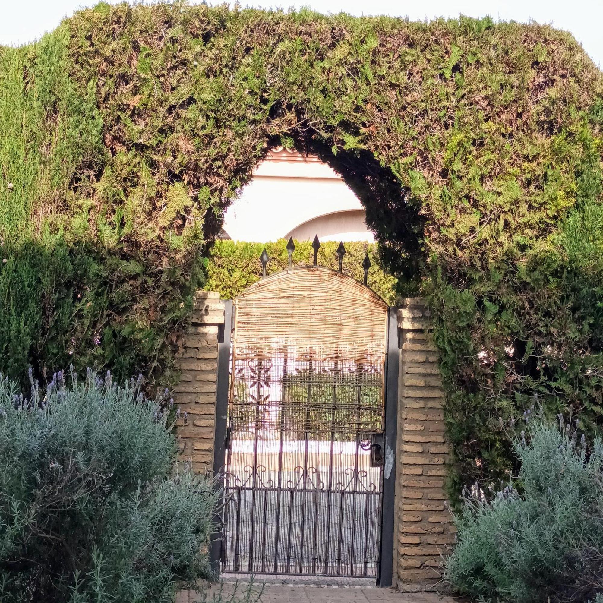 Hispalis Villa En Matalascañas Exteriör bild